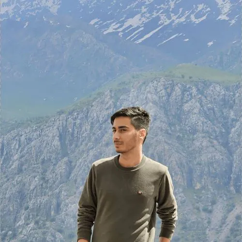 amir masood kamraee